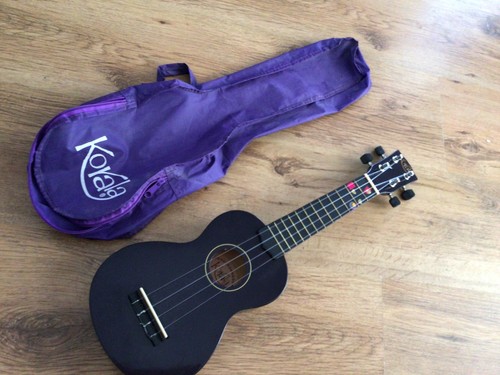 Ukulele black with carry case - carry,