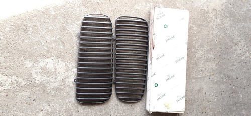 Jaguar xj8 grille - grille, vaines