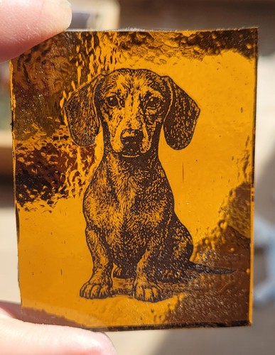 Stained glass dachshund dog - stained,
