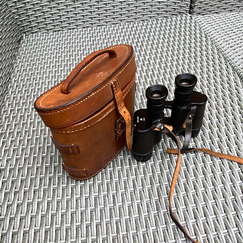 Wray compact porro - 6x, prism