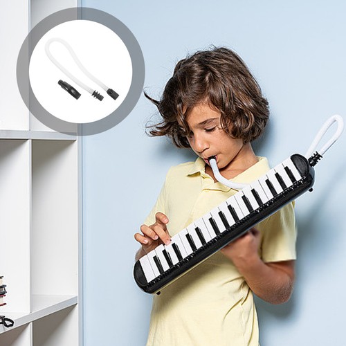 Musical instrument mouthpiece - instrument,