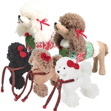 Cute Poodle Dog  Puppy