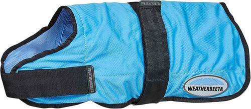 Dog cool coat - dog,