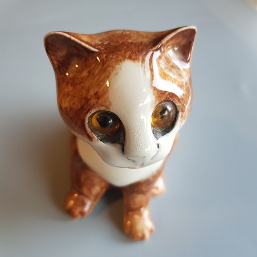 Winstanley ginger kitten cat - kitten,
