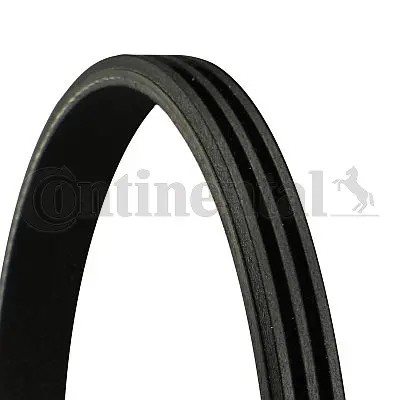 Ribbed belt fits - fits:, rover