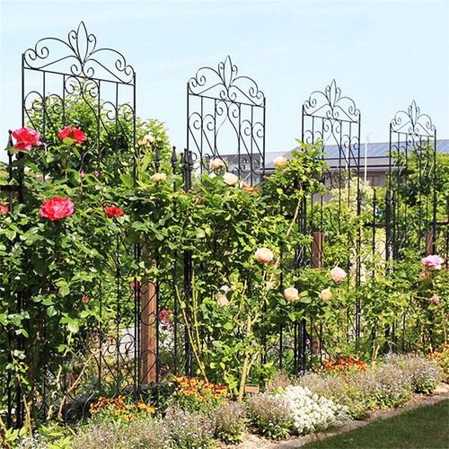 Extra tall metal pipe - pipe, garden