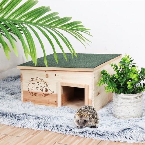 Wooden hedgehog feeding - hedgehog, house