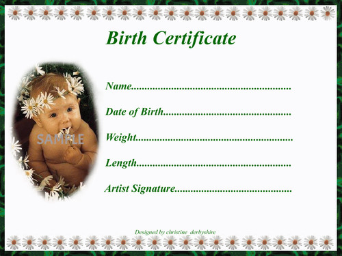 Pretty daisy birth - daisy,