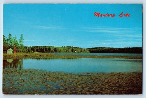 Minnesota postcard mantrap - postcard,