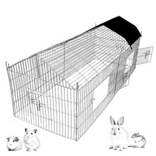 Pet rabbit run play - pet,