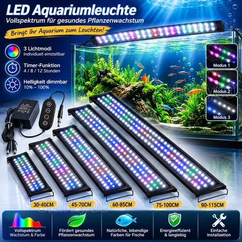 Aquarium fish tank - aquarium,