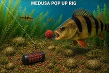 COMPLETE MEDUSA POP UP HAIR