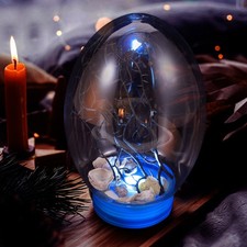  Mini Fish Tank Ecosystem