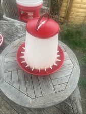 Chicken Feeder Poultry