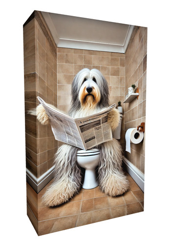 Bearded collie toilet - collie,