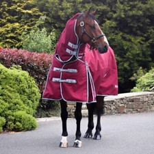 Fieldmasta 350g Heavyweight Combo Neck Turnout Rug Red Wine