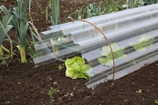 Pair of Garden Cloche Hoops