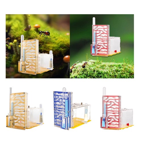 Ant housing nest display - housing,