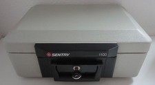 SENTRY 1100 Portable Safe Fire