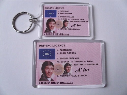 Alan partridge keyring - a'ha, or
