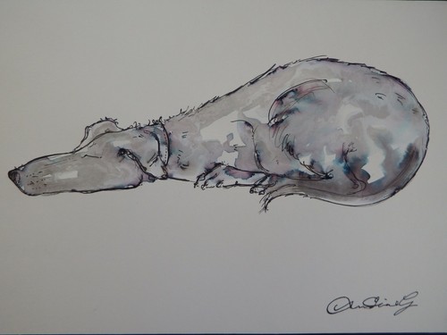 Ink dog drawing sleeping - of,