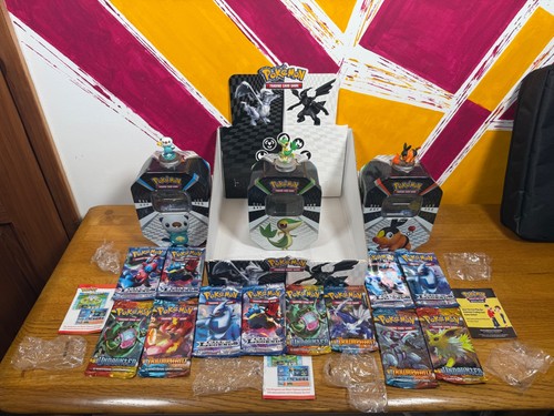 Pokemon black white empty - pokemon, &