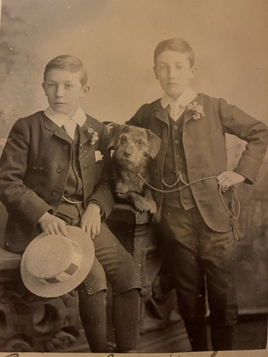 Victorian cabinet card photo - cabinet,