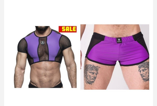 Men sparta purple crop - sparta,