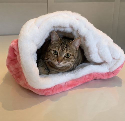 Snuggle sack small pet - snuggle,