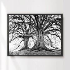 Black White Winter Trees Art