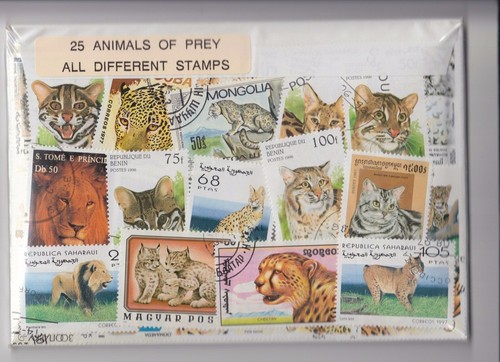Different animals prey - animals,