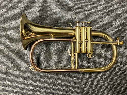Flugel lacquer - in,