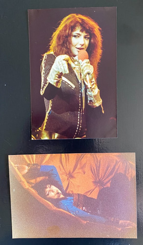 Kate bush concert london - kate, concert,