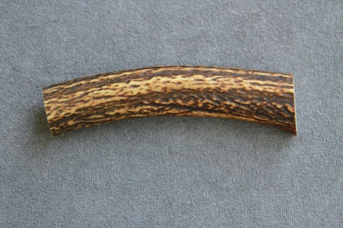 Real red deer antler section - real,