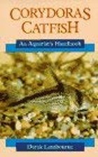 Corydoras Catfish : An