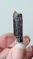 24.4 ct Natural Tanzanite