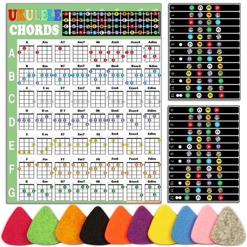 Ukulele beginner kit with - beginner,