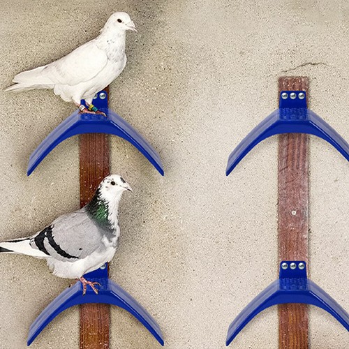 20x pigeon bird pet roost - 10/20x,