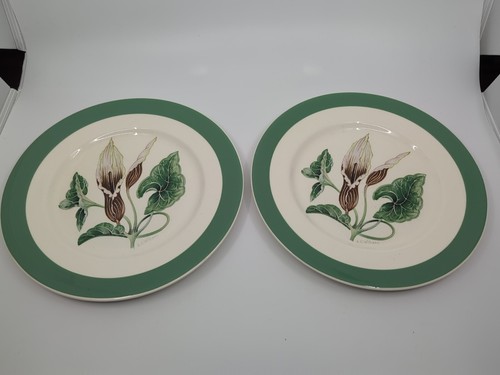 Pair vintage myott - myott, molly