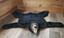 GEMMY Bud The Talking Bear Rug