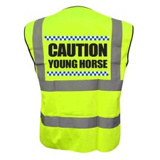 SILLITOE CAUTION YOUNG HORSE