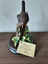 Country Artists Robin on Ivy