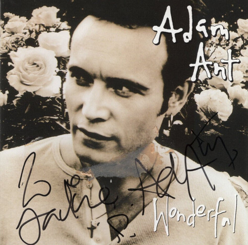 Adam ant 100 - ant, ~
