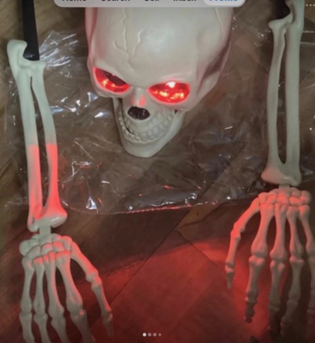 Halloween skeleton head and - skeleton,