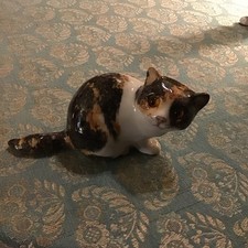 Winstanley tortoiseshell size 2 kitty- glass eyes + signed- 12cm x 22cm-sweetie!