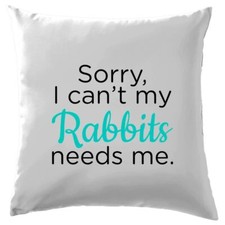 Sorry I Can't My Rabbits Needs