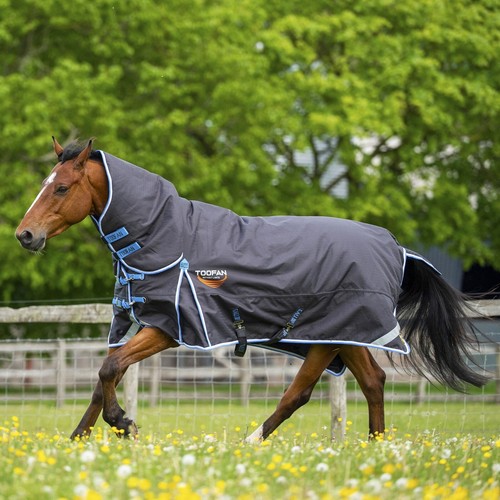 Heavyweight horse turnout rug - heavyweight,