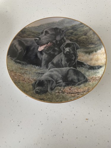 Franklin mint heirloom - mint,