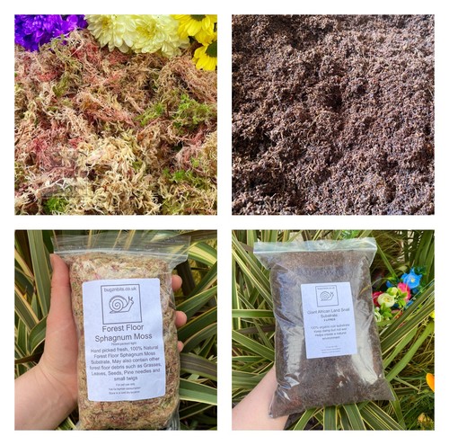 Sphagnum moss coco coir - moss,