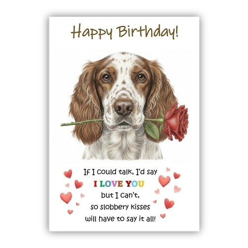 Birthday day card - birthday,